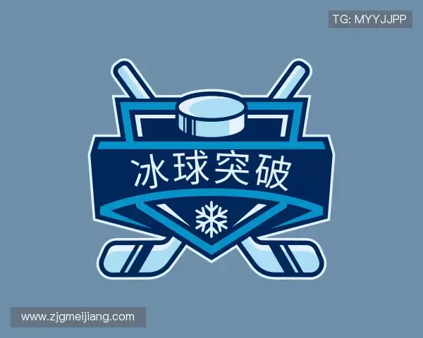 关于冰球突破官方网址